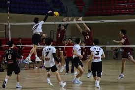 棒球与统计模型风向对全垒打的影响